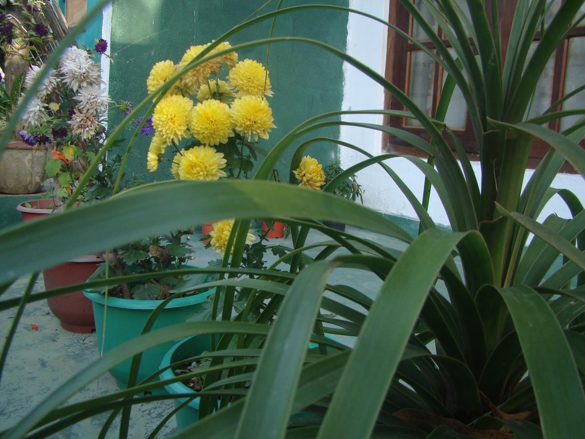White Heart Hotel Ella Ngoại thất bức ảnh